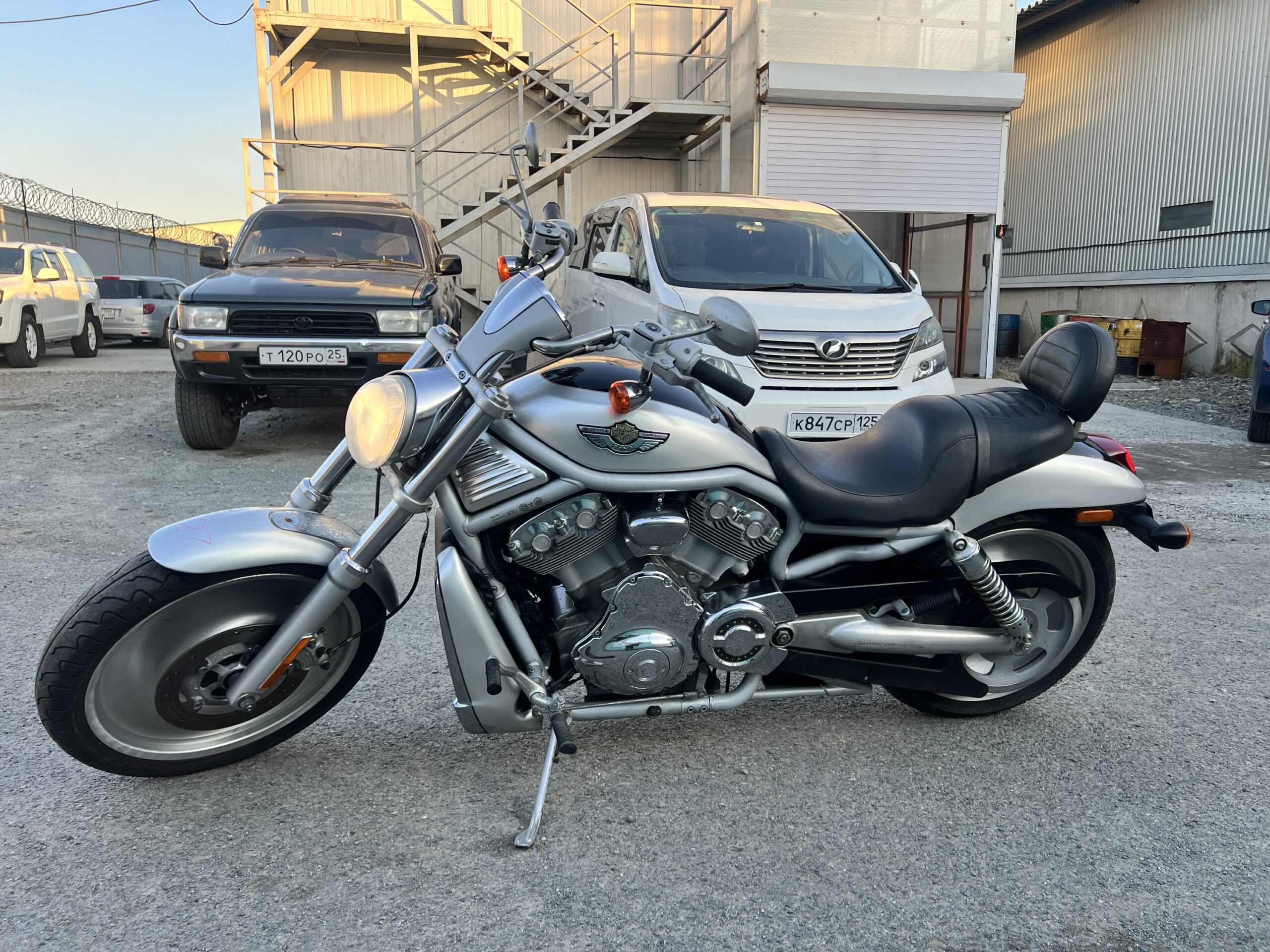 HARLEY-DAVIDSON  	VRSCA1130 V-ROD