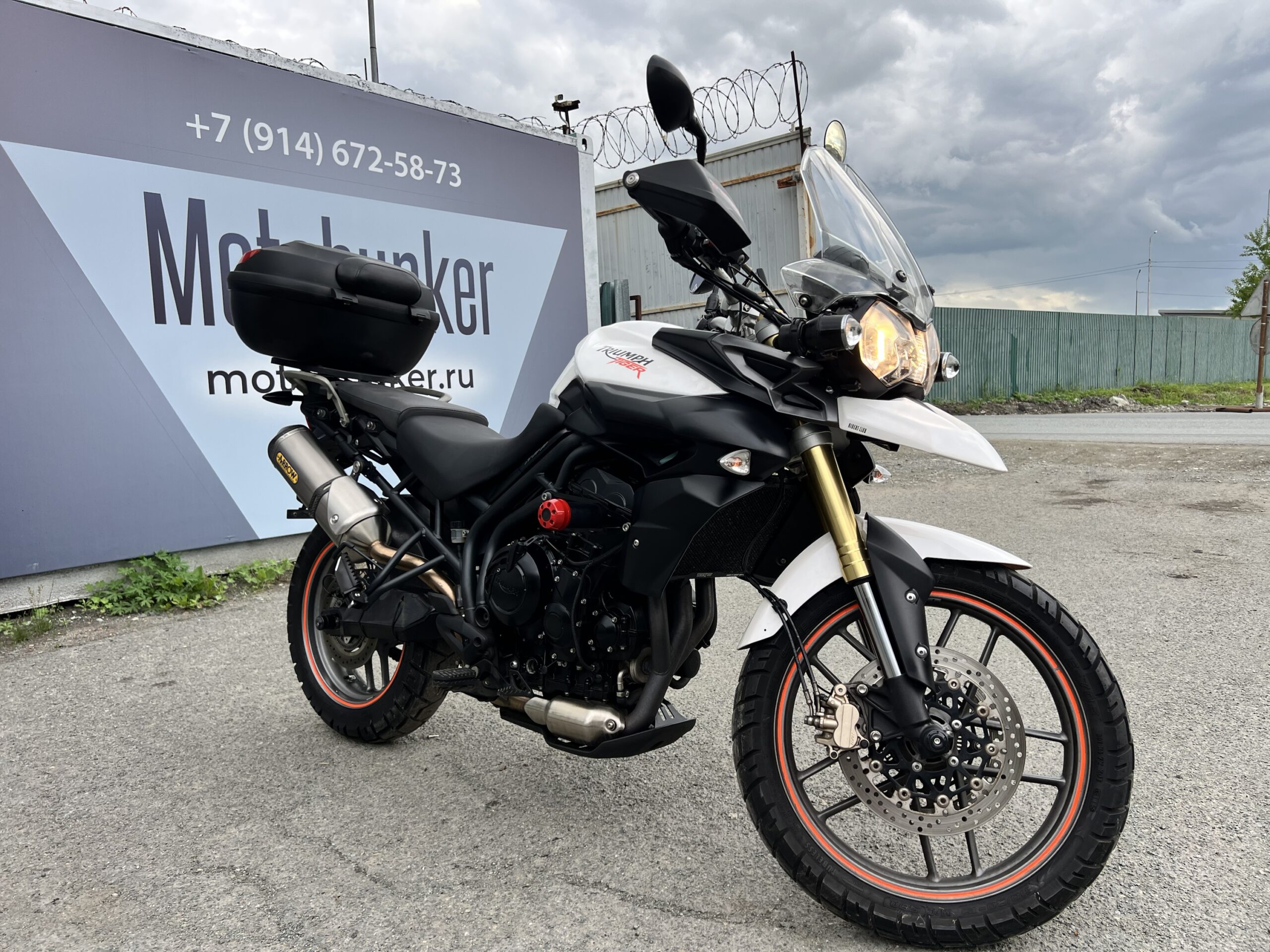 TRIUMPH 	TIGER800